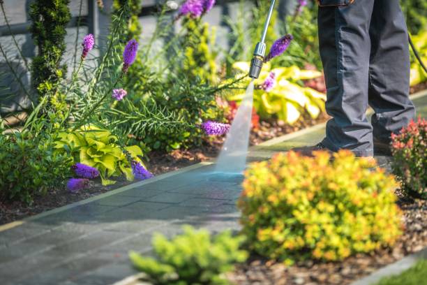  Visalia, CA Pressure Washing Pros