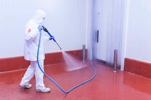 Best Playground Equipment Cleaning  in Visalia, CA