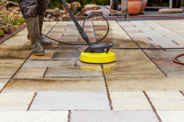 Best Paint Preparation  in Visalia, CA